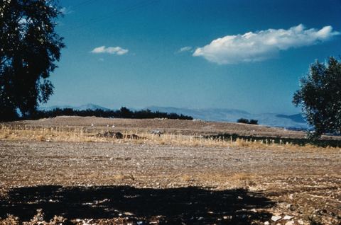 View of the Lerna site from the south-west before the construction of the shelter, framed by trees, with the sea behind.