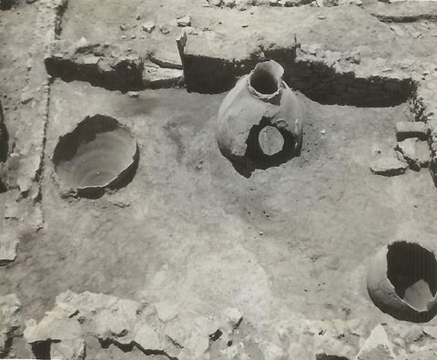 Lerna excavation: Room 45, a Middle Helladic food storeroom with pithoi.