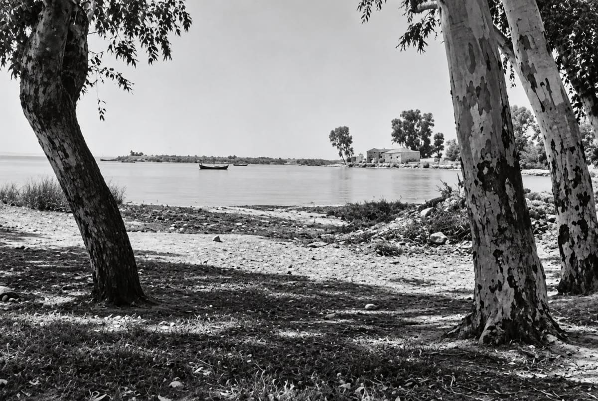 The beach of Myloi in May 1945: eucalyptus trunks on the shore, the calm bay with two boats and houses on the point (digitally restored)