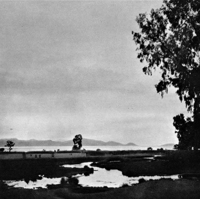 Black-and-white view of pools in the marsh, low buildings, a eucalyptus tree and the gulf in the distance