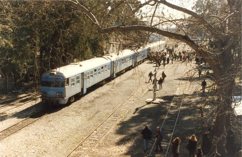 A train arriving at Myloi under the trees while passengers cross the tracks