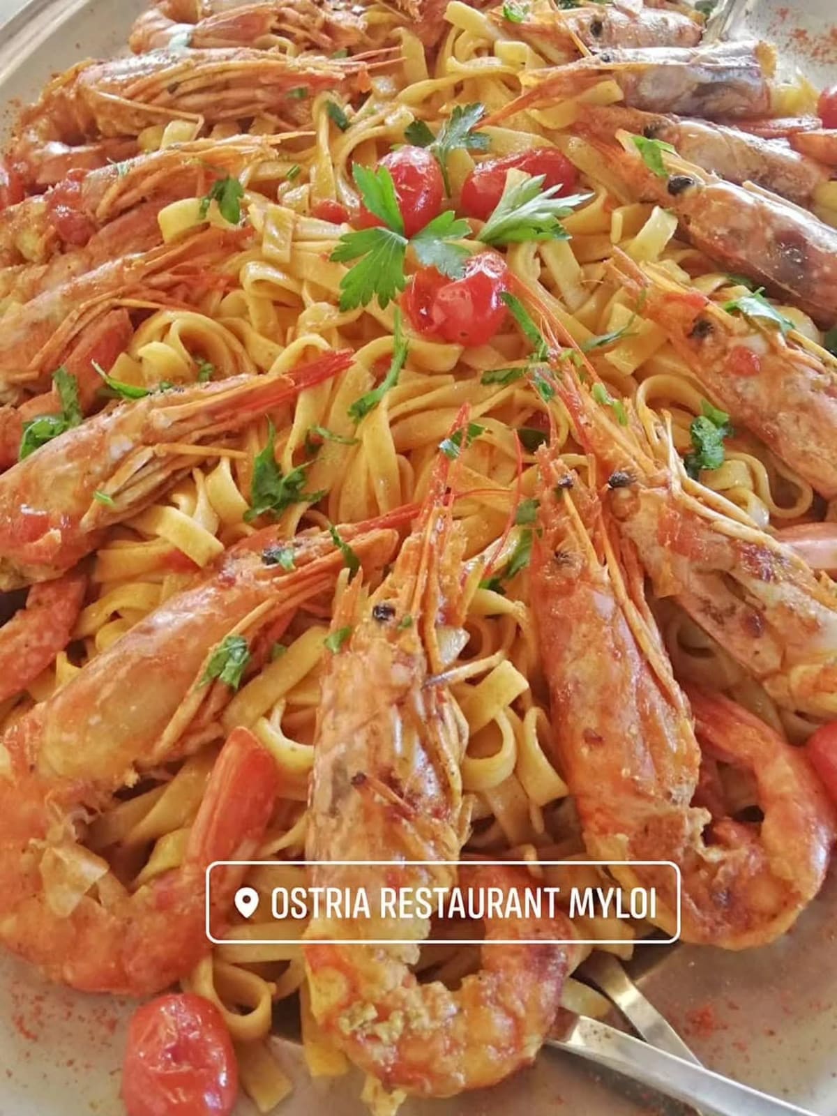 A dish of pasta with large prawns in tomato sauce