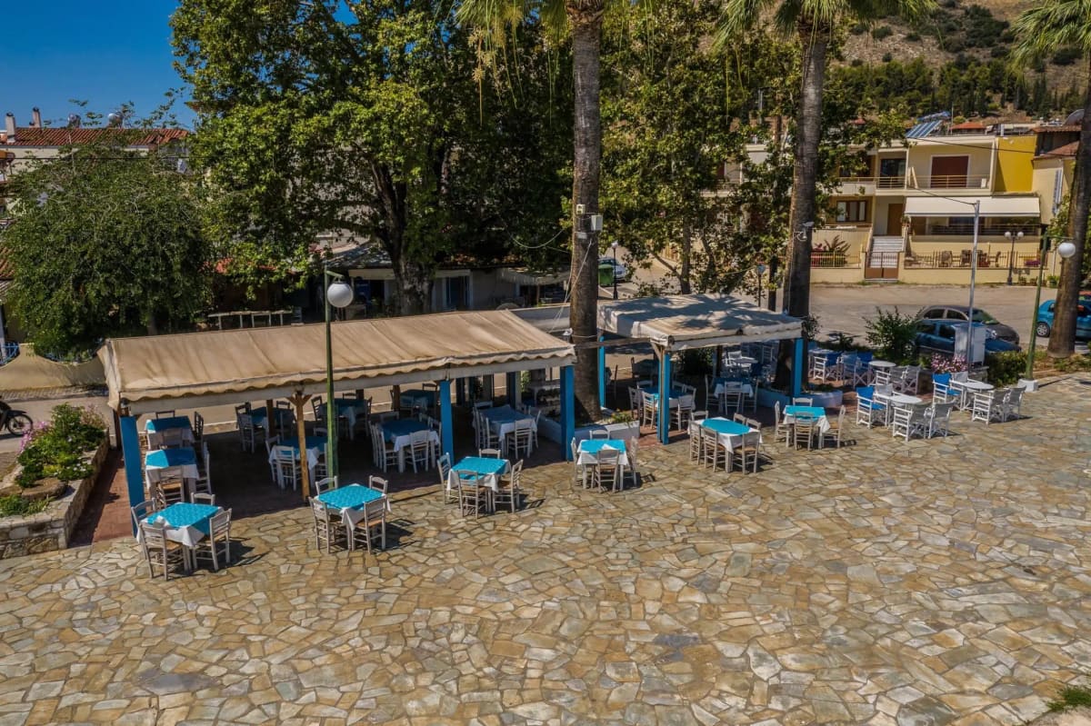 The terrace of Ostria from above, with blue-and-white tables under awnings and in the open on a stone-paved square, palm trees and large plane trees
