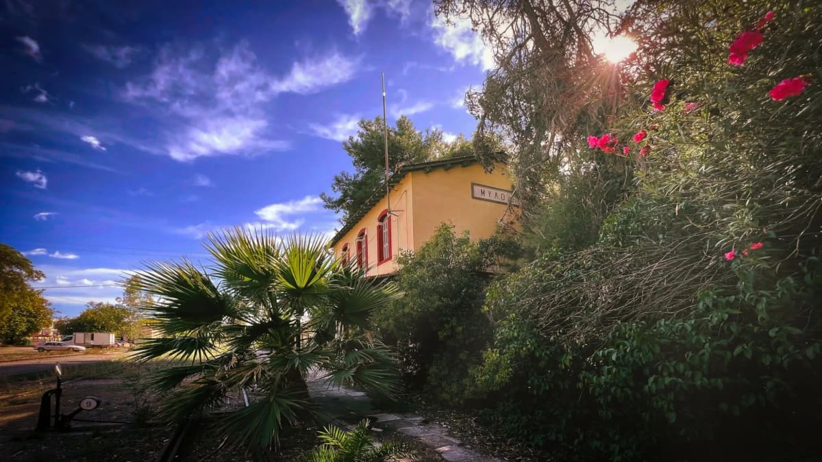 The ochre Myloi station building with red-framed windows among palms and pink oleanders