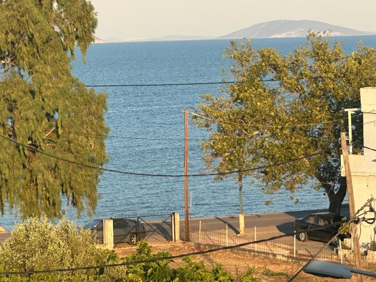 View from a balcony over tall trees and the coast road to the calm sea and the mountains beyond