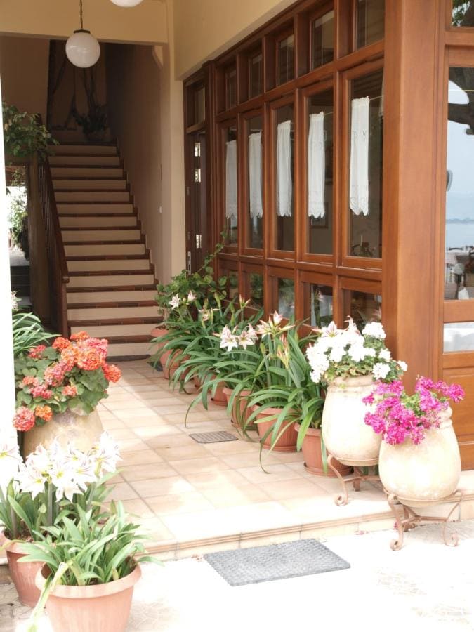 Entrance with pots of flowers and a staircase up to the rooms