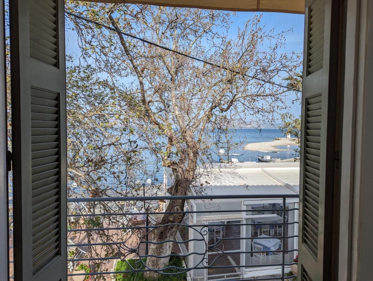 View through open green shutters past a large tree to the beach and the sea