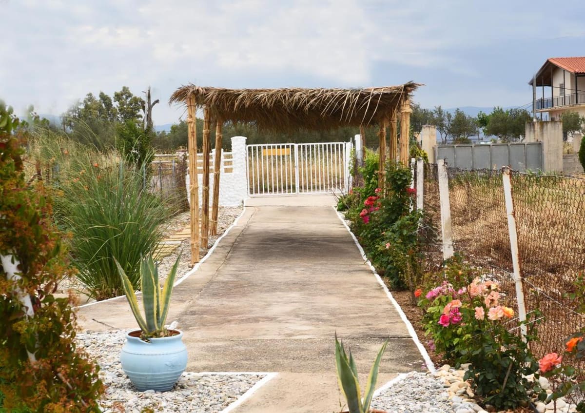 Garden path to the gate under a reed pergola, lined with roses and plants in blue pots