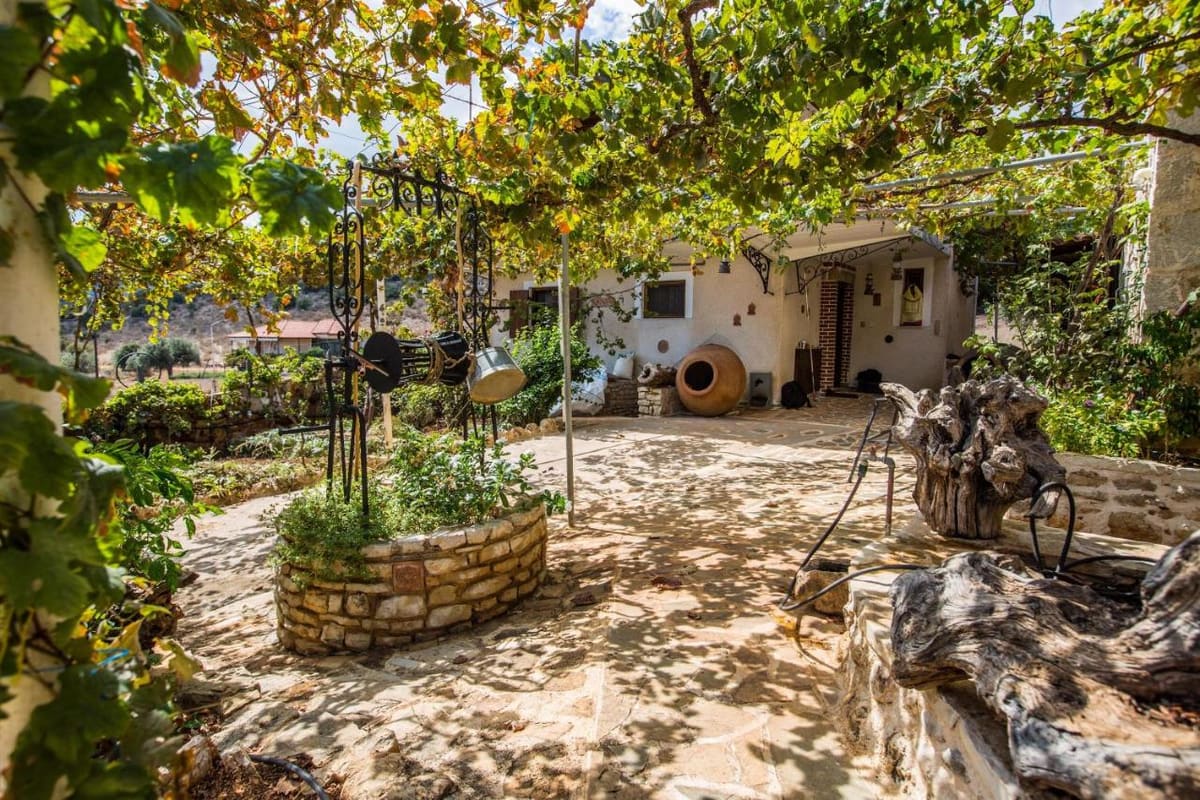 Stone-paved courtyard under a vine pergola, with old jars, plants and the house behind